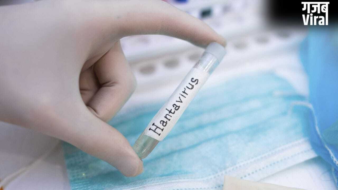 हंता वायरस को लेकर WHO का अलर्ट जारी, जानें भारत में कितना रिस्क?​