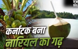 Coconut: टूटा केरलम का रिकॉर्ड, कर्नाटक कैसे बना देश को सबसे ज्यादा नारियल देने वाला राज्य?​
