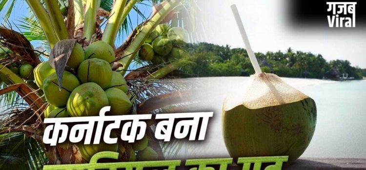 Coconut: टूटा केरलम का रिकॉर्ड, कर्नाटक कैसे बना देश को सबसे ज्यादा नारियल देने वाला राज्य?​