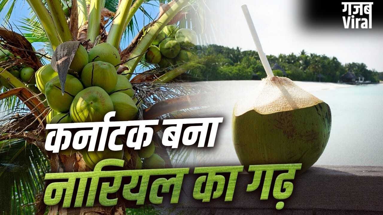 Coconut: टूटा केरलम का रिकॉर्ड, कर्नाटक कैसे बना देश को सबसे ज्यादा नारियल देने वाला राज्य?​