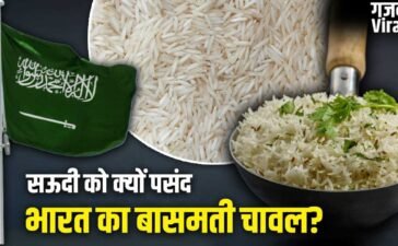 Basmati Rice: सऊदी क्यों बना भारतीय बासमती चावल का सबसे बड़ा खरीदार? 5 बड़े कारण​