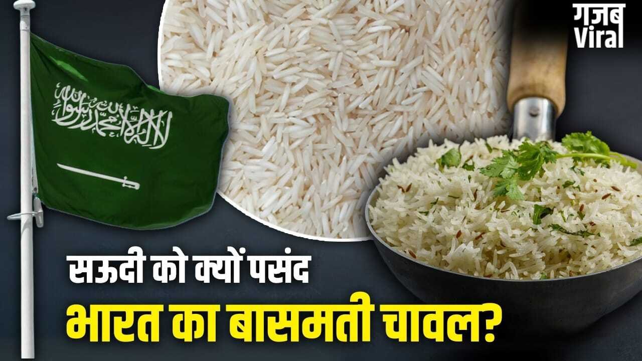 Basmati Rice: सऊदी क्यों बना भारतीय बासमती चावल का सबसे बड़ा खरीदार? 5 बड़े कारण​