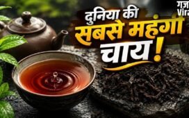 इस चाय की कीमत में आ जाएंगी कई लग्जरी गाड़ियां! 9 करोड़ रुपये है 1 किलो का भाव, क्या है इसमें खास?​