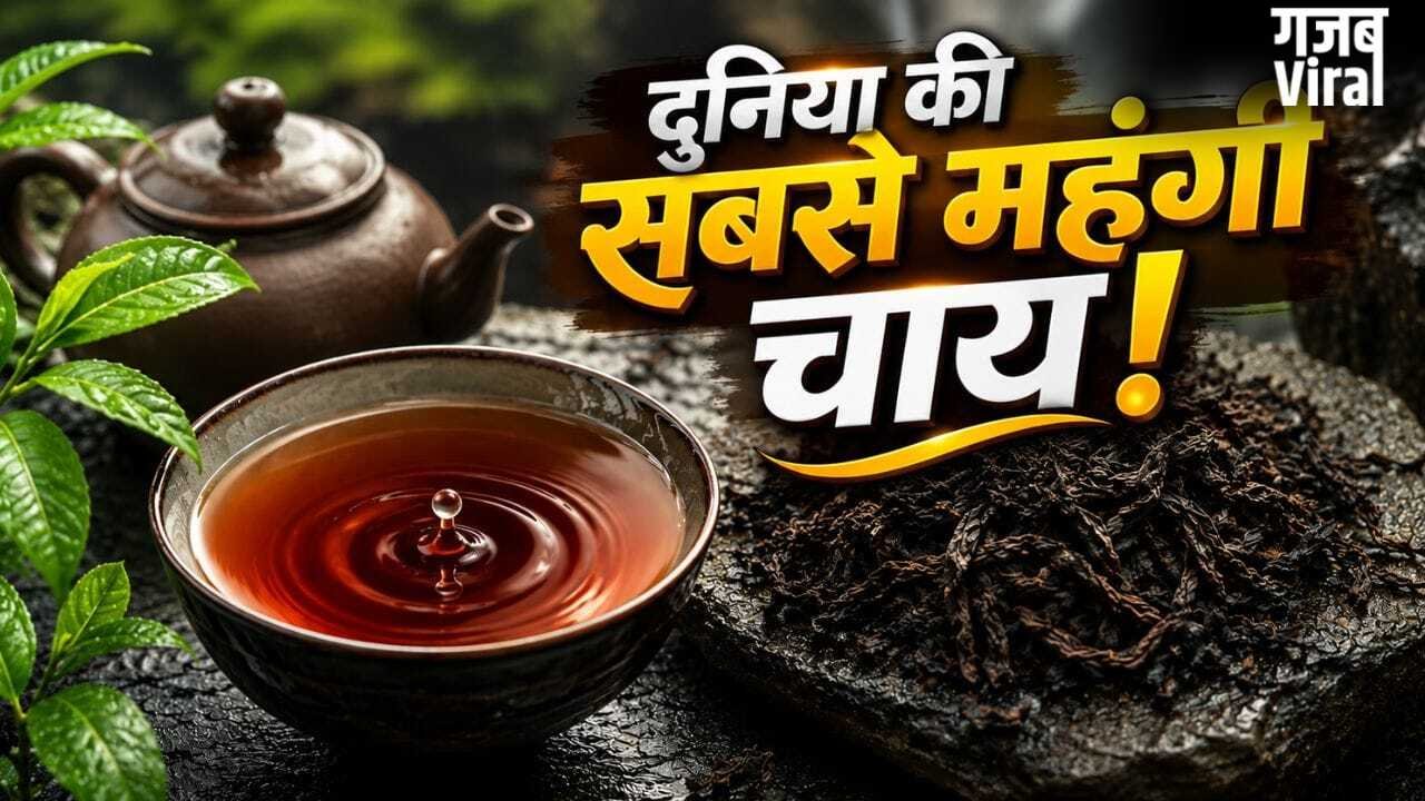 इस चाय की कीमत में आ जाएंगी कई लग्जरी गाड़ियां! 9 करोड़ रुपये है 1 किलो का भाव, क्या है इसमें खास?​