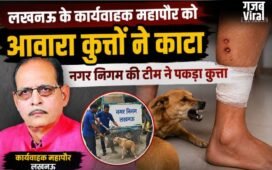 लखनऊ के कार्यवाहक महापौर को आवारा कुत्तों ने काटा, नगर निगम की टीम ने पकड़ा कुत्ता​