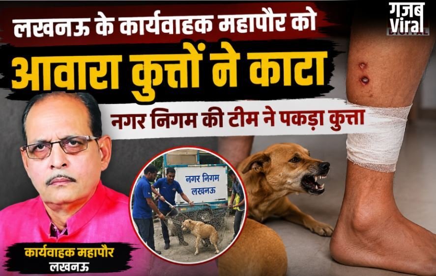 लखनऊ के कार्यवाहक महापौर को आवारा कुत्तों ने काटा, नगर निगम की टीम ने पकड़ा कुत्ता