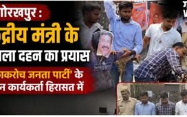 केंद्रीय मंत्री के पुतला दहन का प्रयास, ‘काकरोच जनता पार्टी’ के तीन कार्यकर्ता हिरासत में​