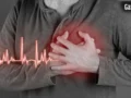 Heart Rate : क्या अचानक बढ़ी हार्ट बीट है खतरे की घंटी? जानिए कब सामान्य है और कब तुरंत डॉक्टर से मिलना चाहिए