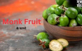 क्या है Monk Fruit? जीरो कैलोरी वाला यह स्वीटनर डायबिटीज मरीजों के लिए माना जाता है बेहतर विकल्प​