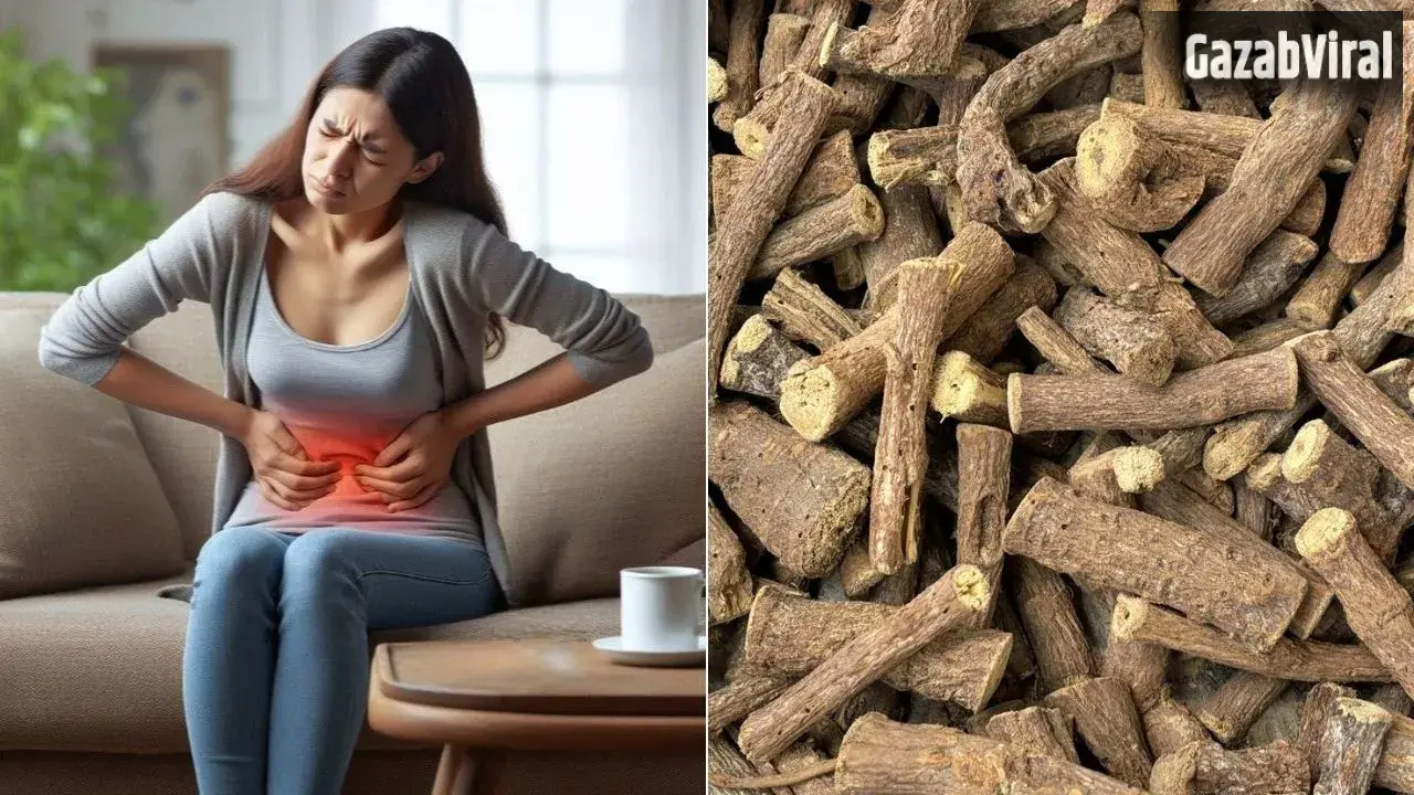 Mulethi For PCOS: अनियमित पीरियड्स से परेशान महिलाओं के लिए फायदेमंद है मुलेठी, जानें इसके लाभ