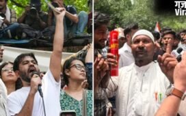 कॉकरोच जनता पार्टी के प्रदर्शन में कॉकरोच से ज्यादा पहुंचे यूटयूबर, विरोध करने हिट लेकर पहुंचे लोग​