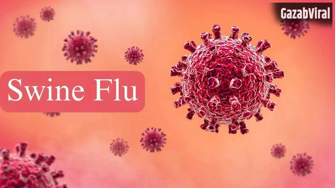Swine Flu Prevention: बारिश के मौसम में क्यों बढ़ जाता है स्वाइन फ्लू का खतरा? जानें कैसे करें बचाव​