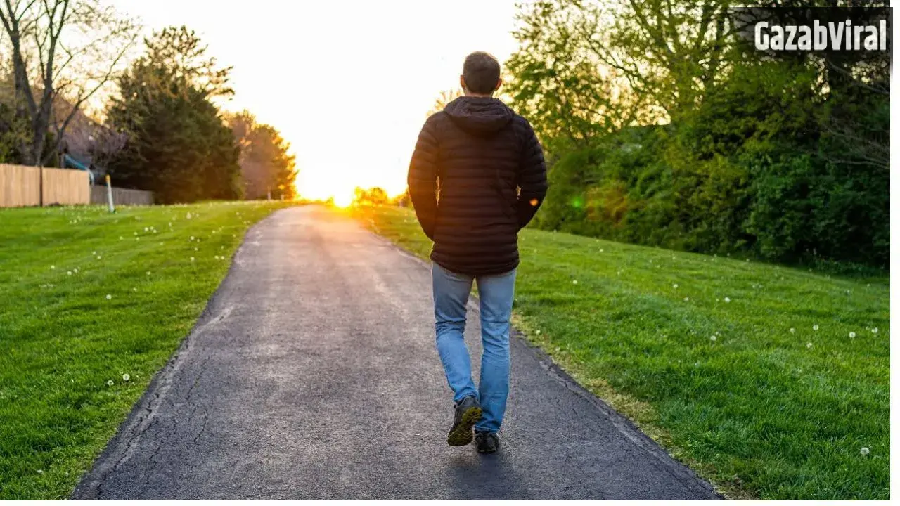 Walking Daily: दवाइयां खाने से बेहतर है मॉर्निंग वॉक, रोज सुबह चलने से पास भी नहीं फटकती हैं ये 5 बीमारियां
