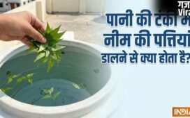 पानी की टंकी में नीम की पत्तियां डालने से क्या होता है?​