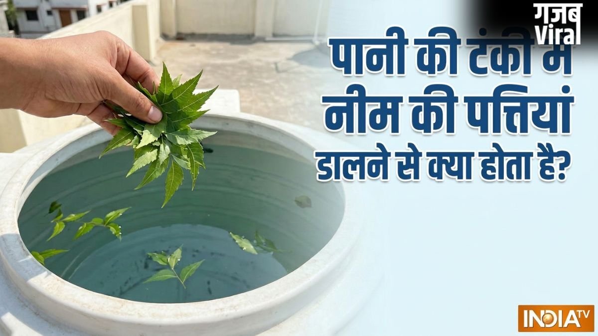 पानी की टंकी में नीम की पत्तियां डालने से क्या होता है?​