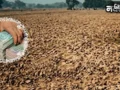 Akola Land Scam: असली आधार कार्ड पर लगाया दूसरे का फोटो; 2 एकड़ जमीन हड़पकर 11 लाख की धोखाधड़ी, 2 गिरफ्तार​