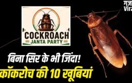 न खाना, न पानी, न सिर, फिर भी जिंदा! जानें कॉकरोच की 10 खूबियां, दिल्ली में CJP के प्रदर्शन से चर्चा में​