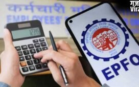 PF खाते में ब्याज नहीं दिख रहा? घबराएं नहीं, जानिए कब आएगा पैसा और कैसे करें चेक​