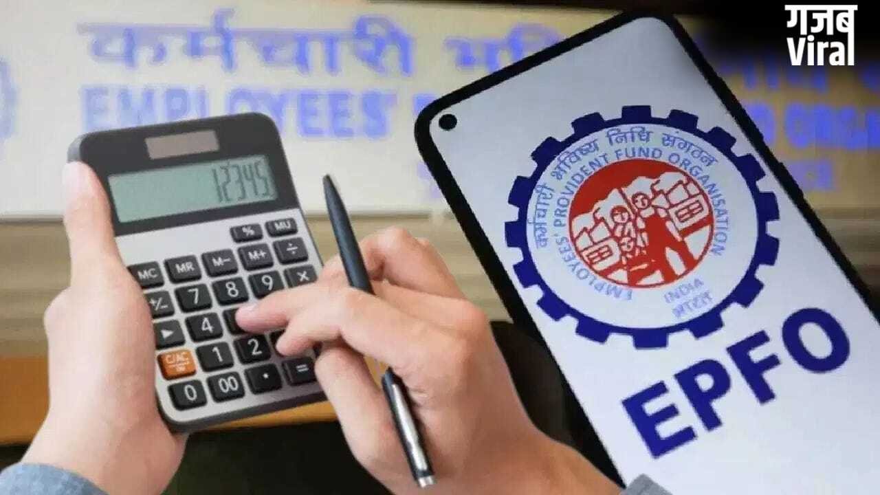 PF खाते में ब्याज नहीं दिख रहा? घबराएं नहीं, जानिए कब आएगा पैसा और कैसे करें चेक​