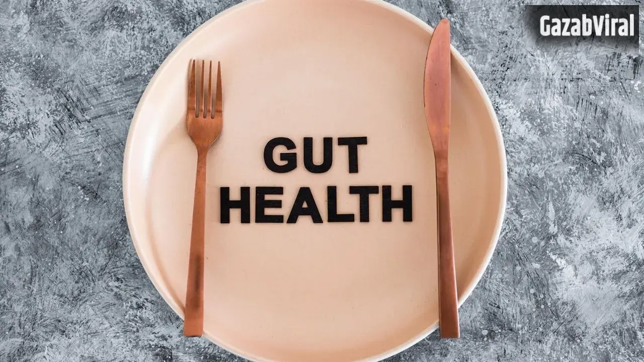 India Gut Health Data: नींद-तनाव से बेहाल दक्षिण भारतीयों का पेट है हेल्दी, नार्थ इंडियन हैं अधिक परेशान​