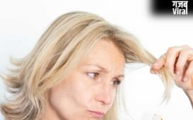Thin Hair Care Tips: बाल पतले क्यों हो जाते हैं? इन्हें पहले जैसा बनाने के लिए आजमाएं ये तरीके​