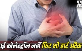 क्या बिना हाई कोलेस्ट्रॉल के भी आ सकता है हार्ट अटैक?​
