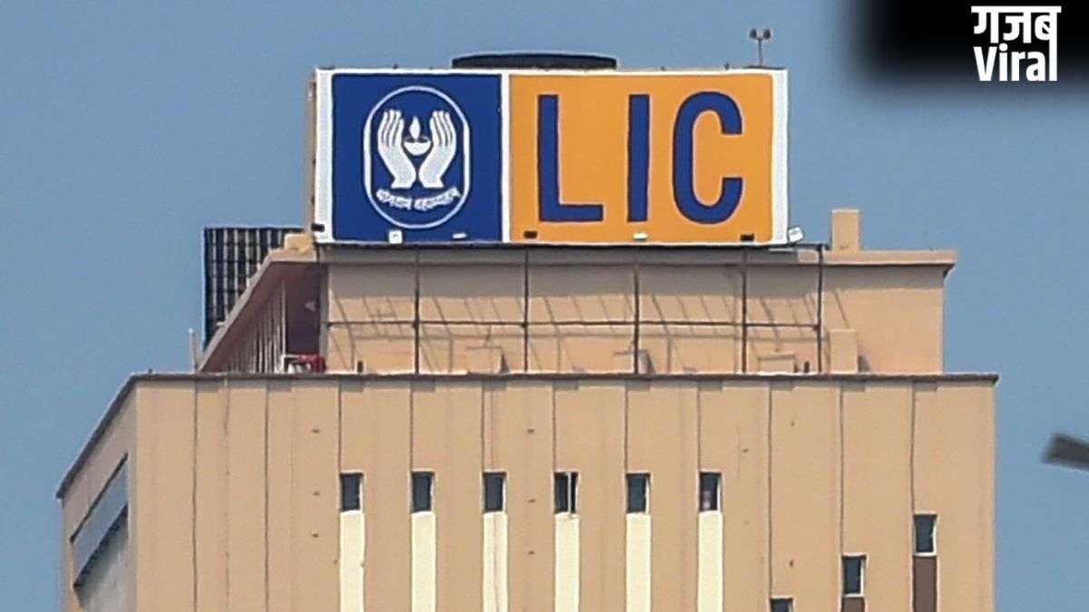 LIC के एन्यूटी प्रोडक्ट्स में लगातार बढ़ रहा निवेश, सरकारी कंपनी ने IRDAI, RBI और SEBI के सामने रखे सुझाव