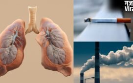 वायु प्रदूषण या स्मोकिंग? एक्सपर्ट से जानें फेफड़ों को किससे पहुंचता है ज्यादा नुकसान?​