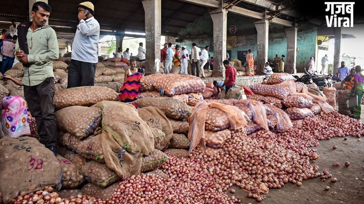 किसानों ने एक क्विंटल प्याज के लिए मांगे 3000 रुपये, बोले- मौजूदा खरीद कीमत पर लागत निकलना भी मुश्किल