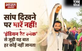 सांप दिखने पर मारने के बजाय अब लोग बढ़ा रहे हैं मदद का हाथ, जानिए कौन है किसानों का यह अनोखा मित्र ?