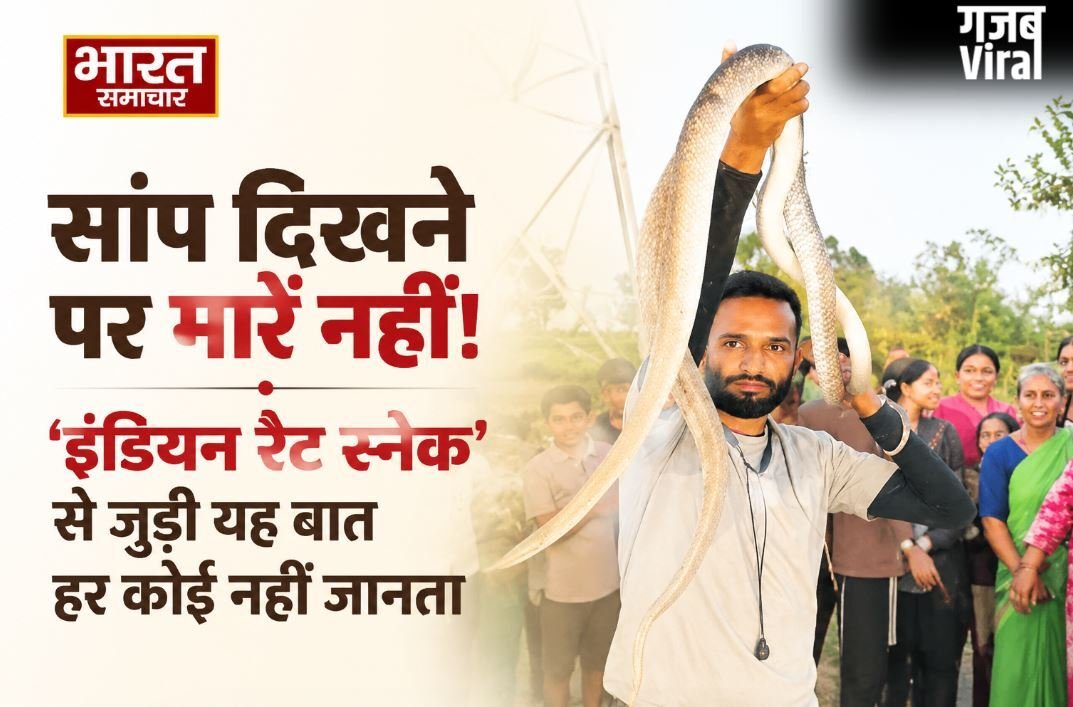 सांप दिखने पर मारने के बजाय अब लोग बढ़ा रहे हैं मदद का हाथ, जानिए कौन है किसानों का यह अनोखा मित्र ?