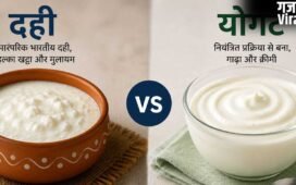 Yogurt vs Curd: क्या है योगर्ट जो दही से भी ज्यादा फायदेमंद? बहुत कम जानते हैं सही जवाब​