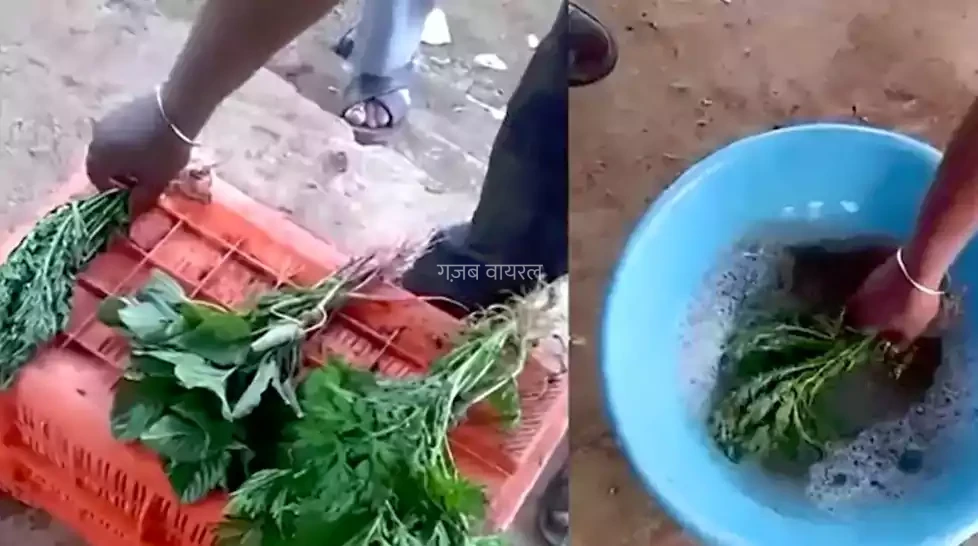 कहीं आप भी सब्जी के साथ निगल तो नहीं रहे धीमा जहर? केमिकल से ताजी दिखने वाली सब्जी की जानिए असली सच्चाई