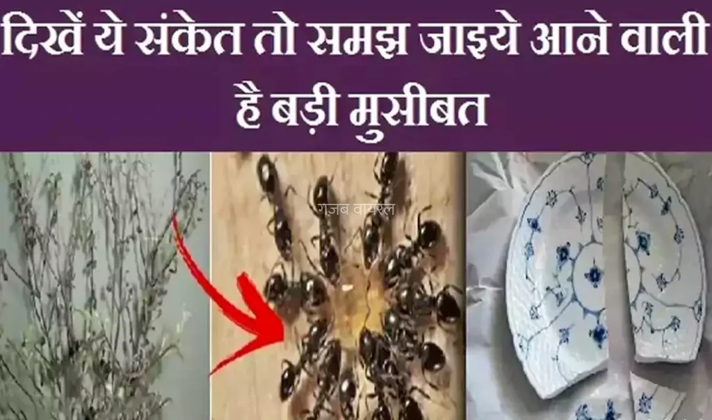 अगर आपको भी दिखें ये संकेत तो समझ जाइये आने वाली है बड़ी मुसीबत, इग्नोर करने की गलती न करें