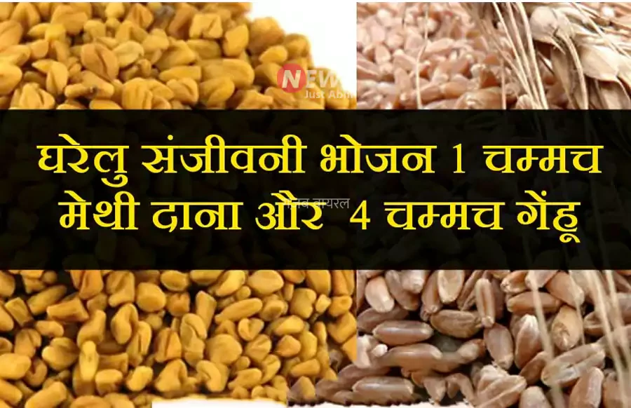 ये संजीवनी कमजोर को शक्तिशाली, बच्चों को चैंपियन, बूढों को जवान और जवानो को 100 वर्ष तक जवान बना कर रखती है, जरूर पढ़े और शेयर करे