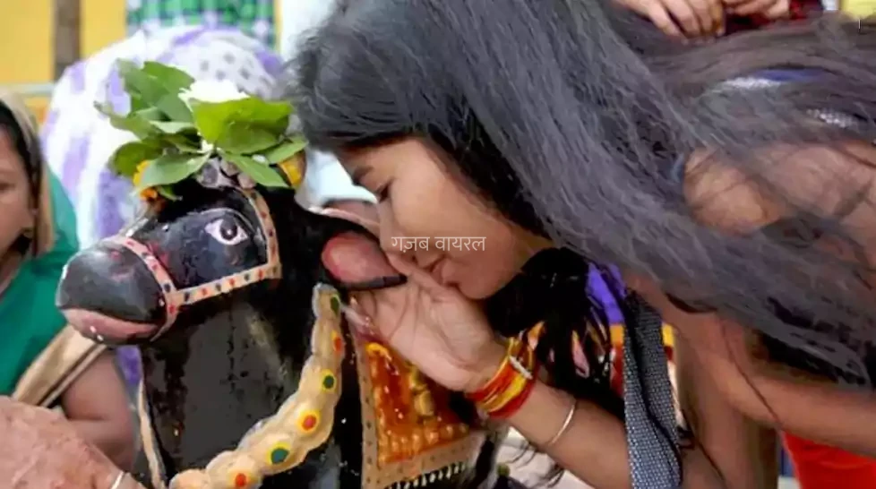 नंदी के कान में ऐसे बोलनी चाहिए अपनी मनोकामना जान लें सही तरीका तभी मिलेगा फल