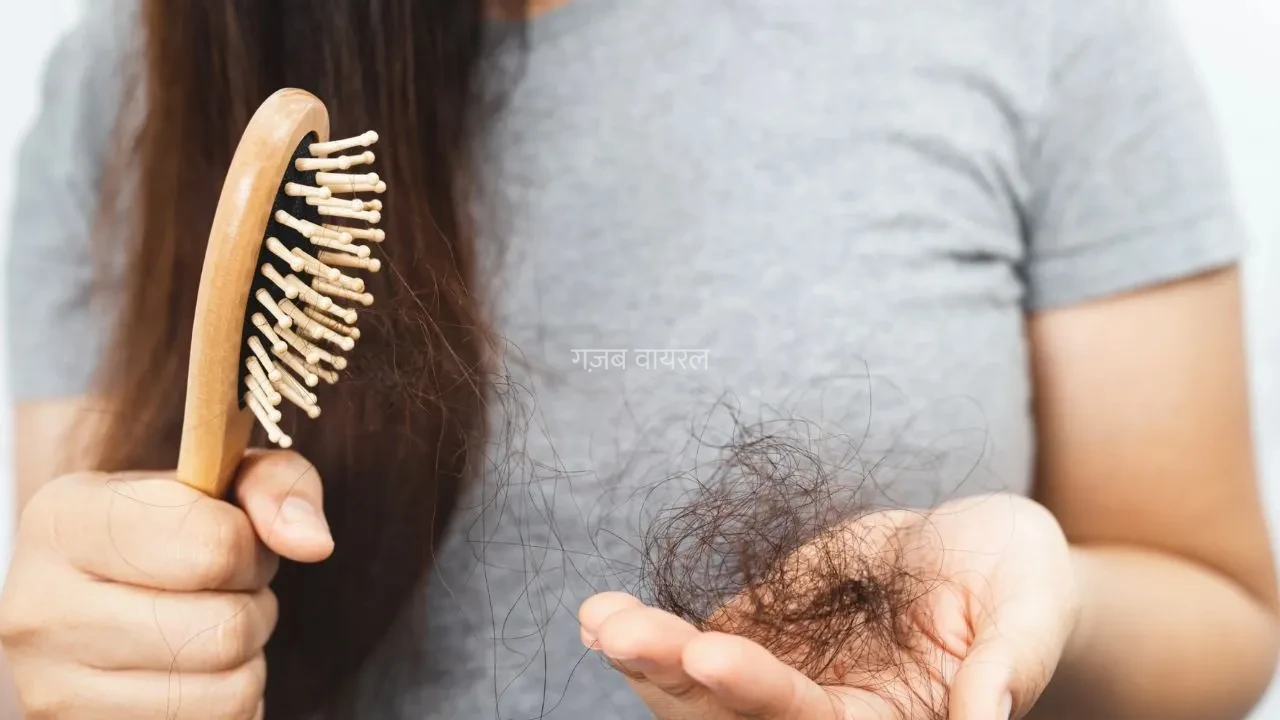 Hair Fall Diet: क्या आप भी झड़ते बालों से परेशान हैं? बस डाइट में शामिल लें ये 5 चीजें, फिर देखिए कमाल​