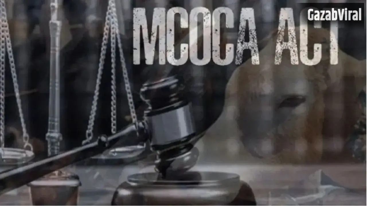 Bhandara Crime: भंडारा में सम्राट गैंग पर MCOCA, गोवंश तस्करी के खिलाफ बड़ी कार्रवाई​