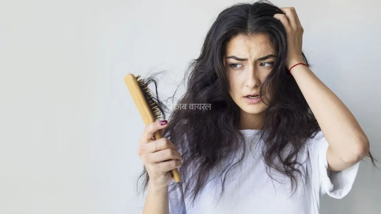 Rain Hair Care: बारिश में तेजी से झड़ रहे हैं बाल? कैसे करें इनकी देखभाल, यहां जानिए​