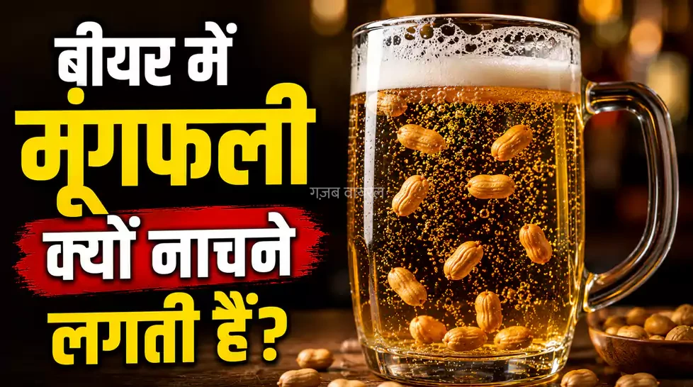 कभी सोचा है कि बीयर में डालते ही मूंगफलियां क्यों नाचने लगती हैं, जानिए क्या है वैज्ञानिक कारण