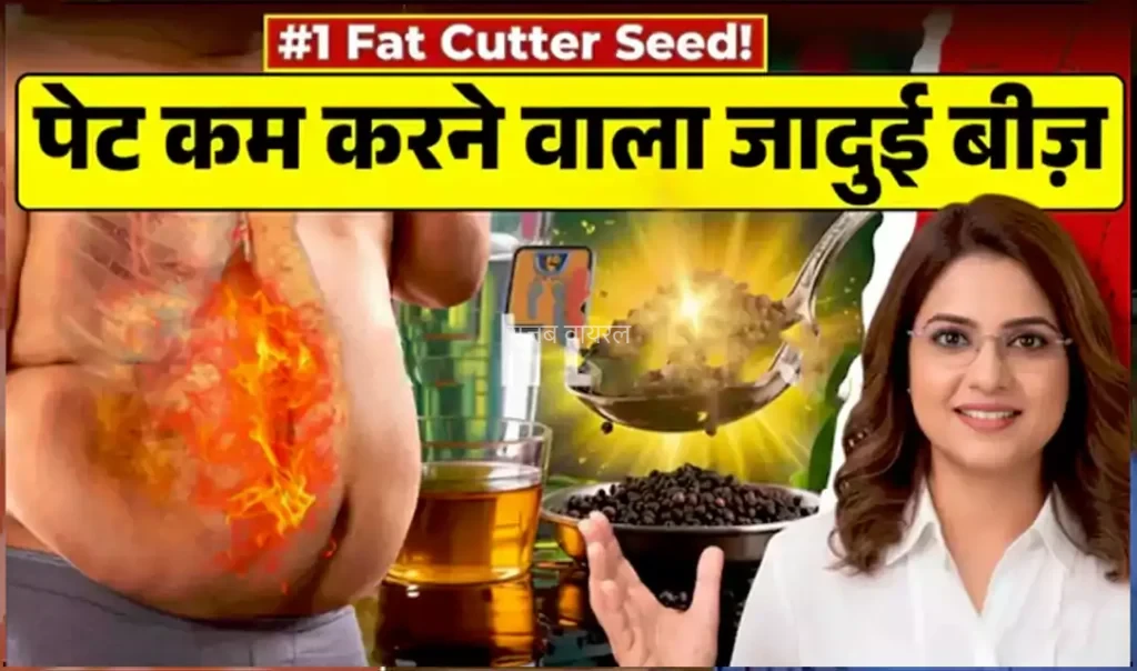 क्या आप मोटापे से परेशान हैं? ये है पेट की चर्बी गायब करने के जादुई बीज, मोटापे से हैं परेशान तो जरूर पढ़ें इसे