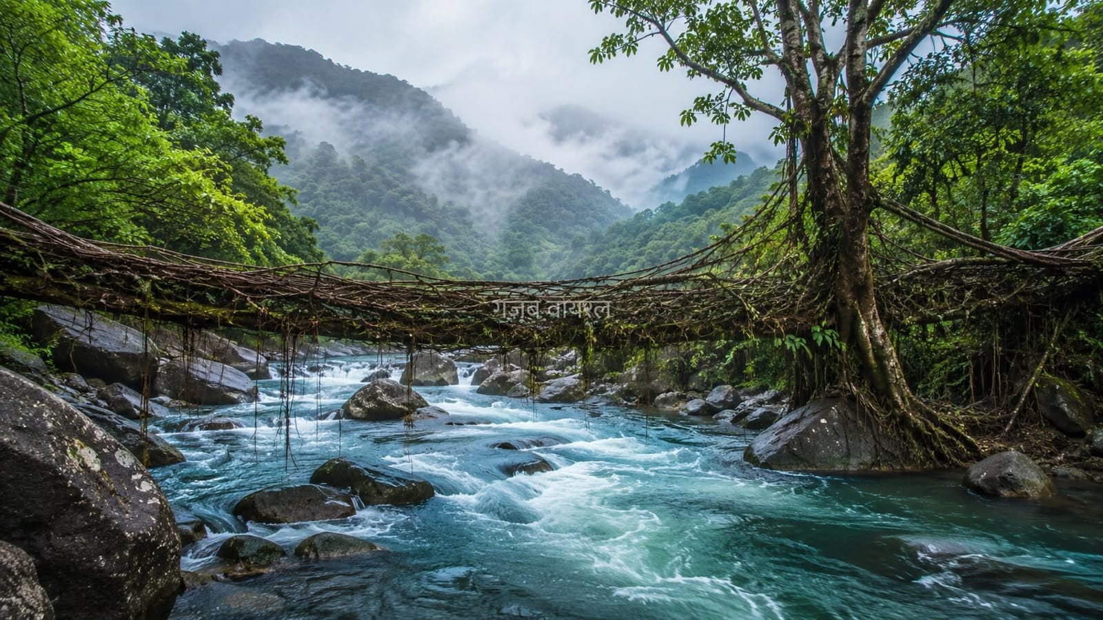 मानसून में जन्नत बन जाता है मेघालय, जरूर घूम आएं ये खूबसूरत जगहें​