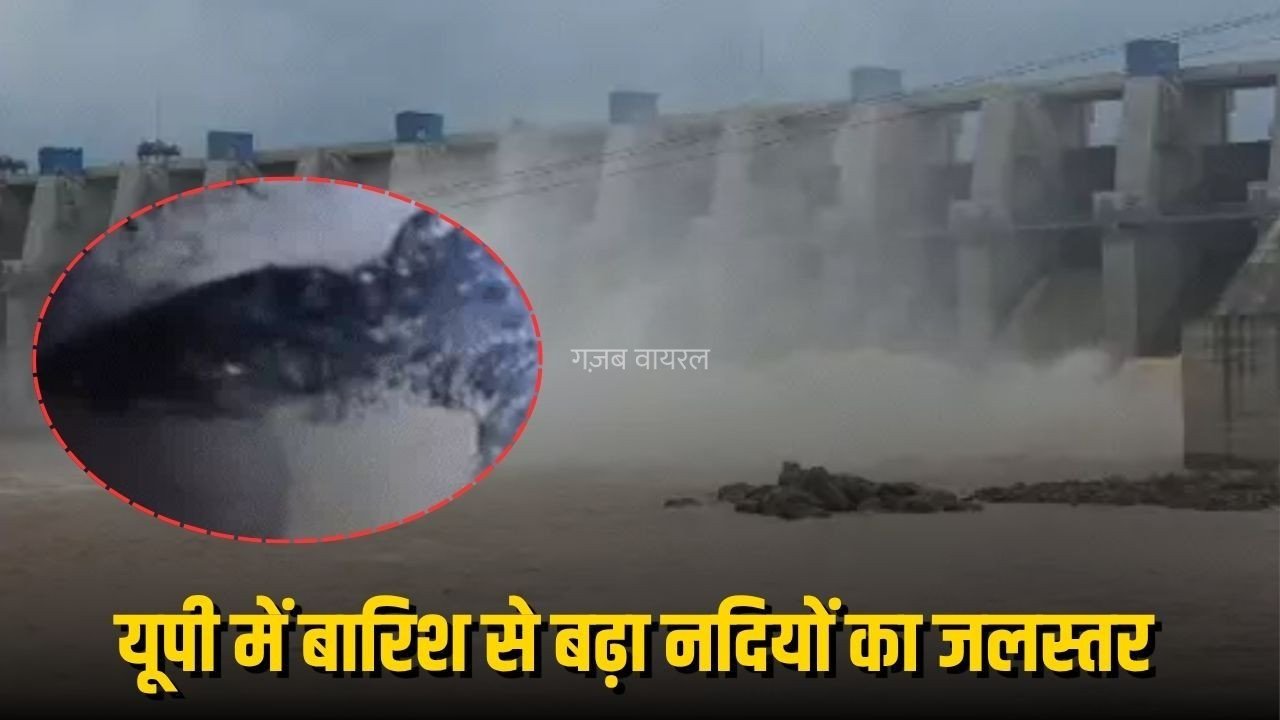 UP Weather Update: यूपी के 39 शहरों में बारिश, कई नदियां उफान पर, घर में घुसा मगरमच्छ, 25 जिलों में आज भी अलर्ट