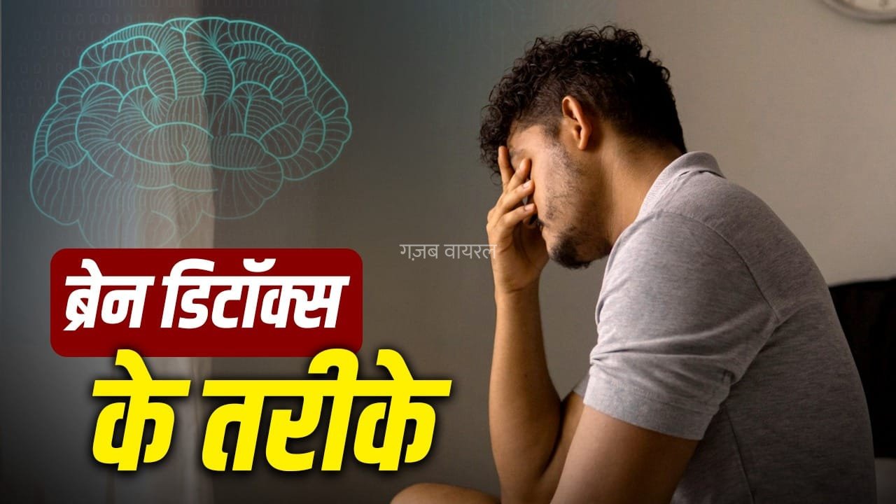 World Brain Day 2026: क्या ब्रेन को भी किया जा सकता है डिटॉक्स? जानिए एक्सपर्ट की राय​