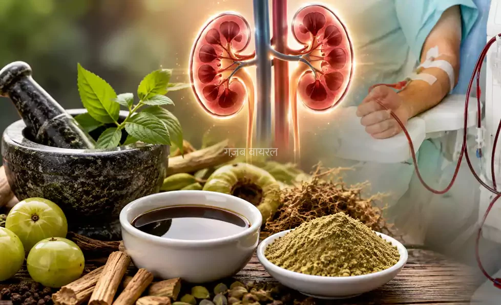 हज़ारो लोगो की किडनी डायलिसिस रुकवा चूका है ये अद्भुत रामबाण उपाय, किसी को किडनी की समस्या हो तो ये प्रयोग जरूर करे और शेयर करना ना भूले