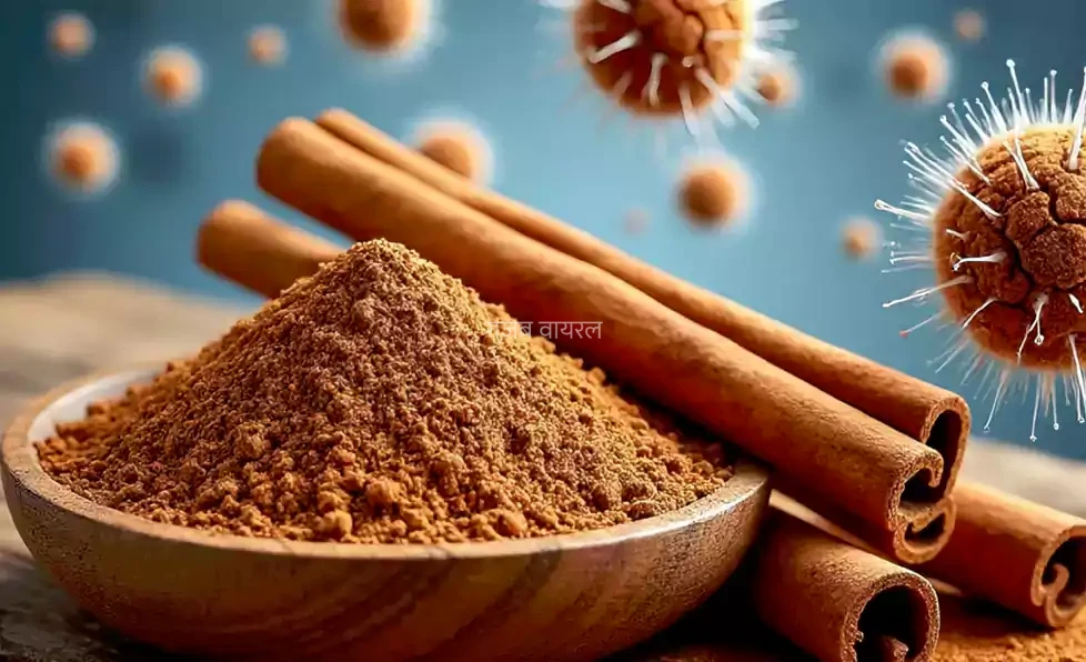 ​​सिर्फ एक महीने तक दालचीनी लेने से कैंसर से पाए आराम, एक बार इस पोस्ट को ज़रूर पढ़ें और शेयर करना ना भूले