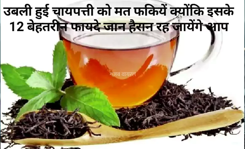 उबली हुई चायपत्ती को मत फैंकिये क्योंकि इसके 12 बेहतरीन फायदे जान हैरान रह जायेंगे आप, जरूर पढ़े और शेयर करे