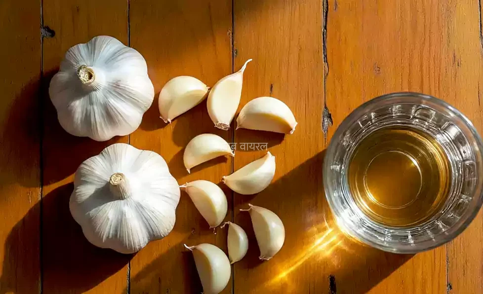रोजाना सुबह खाली पेट लहसुन खाने से मिलते हैं ये 8 चमत्कारी फायदे, तीसरा फायदा आपको हैरान कर देगा