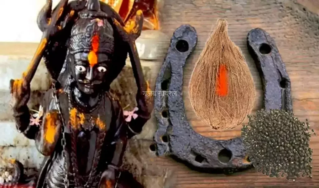 शनिदेव का नाम लेकर करें घोड़े की नाल के टोटके गरीब बन जाएगा अमीर बीमार हो जाएगा ठीक​​​