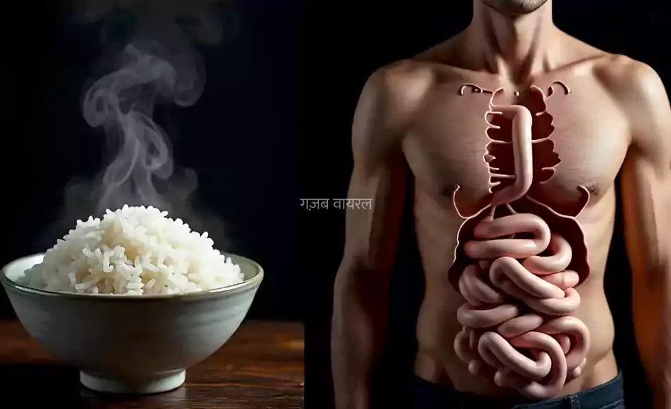 चावल के शौकीन जरूर जान लें इसके ये भयंकर नुकसान आपका दिमाग न हिला तो कहना